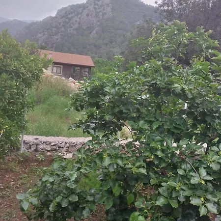Village Garden Hotel Kemer