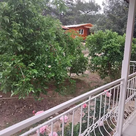 Village Garden 3*